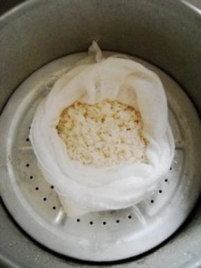 糯米提前洗净、泡好。沥干水分，入锅隔水蒸熟。