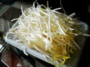 绿豆芽摘净根部、洗净备用。