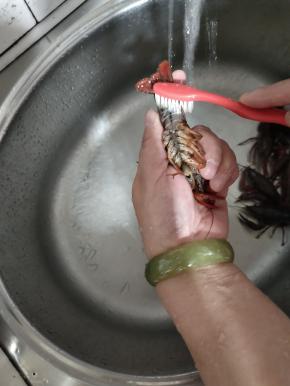 用牙刷把小龙虾肚子上刷洗干净！