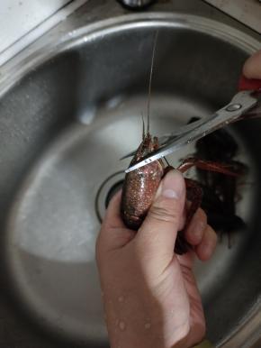 再把小龙虾头部剪一下，把腮挑出来扔掉！