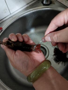 在小龙虾尾部中间那个地方拧一下，把虾线抽出来！