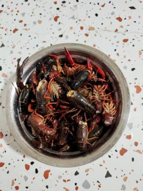 全部处理好的小龙虾再用清水冲洗几遍，捞出控干水分备用！