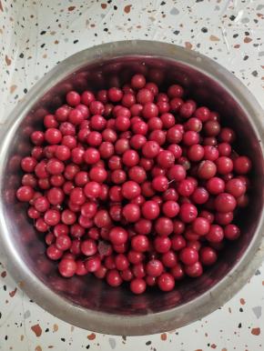 和闺蜜一起去摘了满满一大盆回来给孩子们熬李子果酱吃！