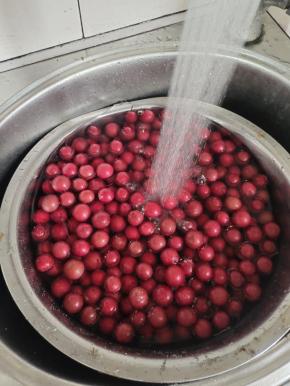 红叶李放入四勺盐，适量的清水抓拌均匀浸泡半小时，再用清水冲洗干净！