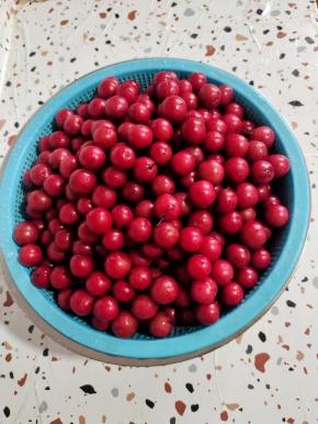 捞出控干水分备用！