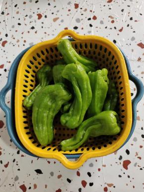 选择薄皮青椒，去蒂去籽，清洗干净控干水分备用！(这种辣椒皮薄肉嫩，口感比较好！喜欢吃辣一点的朋友可以用螺丝椒！)