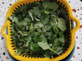 刚摘回来的灰灰菜加盐水浸泡10分钟，清洗干净！