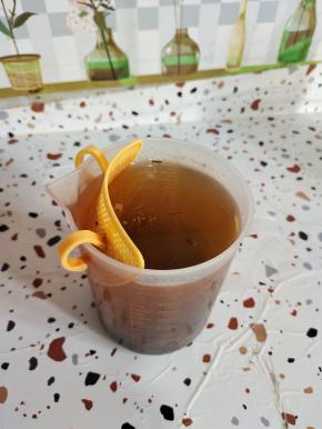 茉莉花茶提前沏好，晾凉备用！