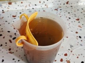 茉莉花茶提前沏好，晾凉备用！