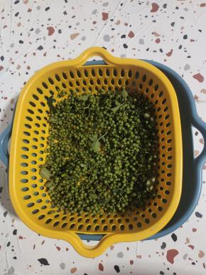 新鲜花椒清洗干净，控干水分备用！