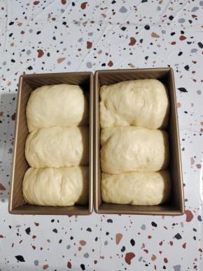 吐司盒里的面团发酵至模具八分满。