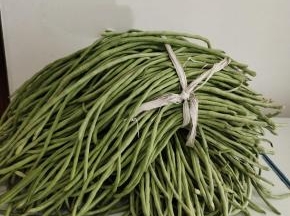 今天去乡下买了20斤嫩豇豆回来，腌制酸豆角！