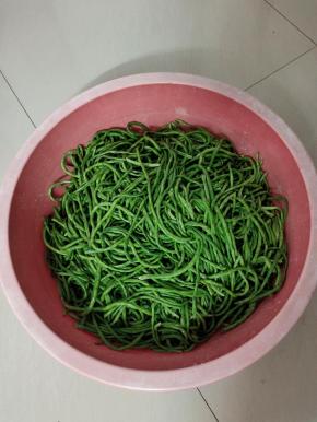 腌制一个小时！中途翻面几次！