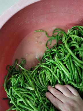 看看腌出了好多的水啊！