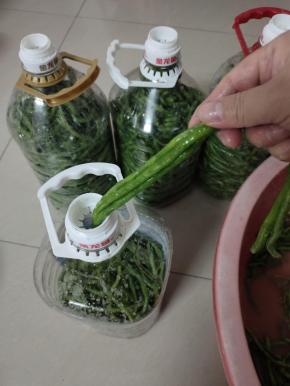 把腌制好的嫩豇豆装进无油无水的容器里！(装酸豆角最好的容器是油壶，雪碧瓶或者可乐瓶子！尽量不要用玻璃瓶，发酵的时候容易爆开！如果是切碎了再腌制可以用玻璃瓶来装！)