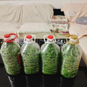 盖上盖子，密封好！室温保存半个月就可以吃到又酸又脆的酸豆角了！