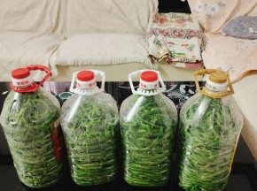 盖上盖子，密封好！室温保存半个月就可以吃到又酸又脆的酸豆角了！