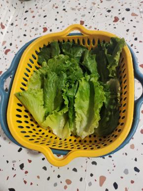 生菜清洗干净，控干水分备用！