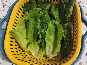 生菜清洗干净，控干水分备用！