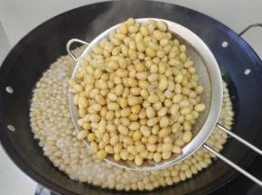 煮好的黄豆给它捞起来！
