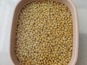 控干水分，再倒入适量的凉开水或者矿泉水！把凉水里面的细菌去掉！(这是一个懒人不用等待的方法，你也可以直接控干水分，再摊开，把水分晾干也可以哦！)