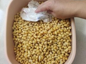 再用厨房纸巾擦干黄豆表面的水分！