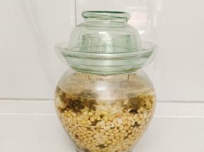 成品图