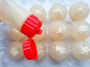 在荔枝中间挤入炼乳。
