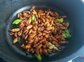 转小火放入蚕蛹翻炒，