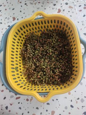 新鲜花椒清洗干净，晾干水分备用！