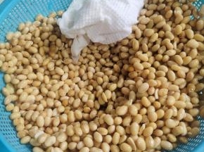 捞出控干水分，再用厨房纸巾或者洗脸巾把水分擦干！