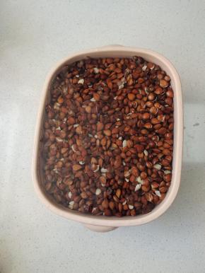 加入适量的清水，浸泡四个小时！