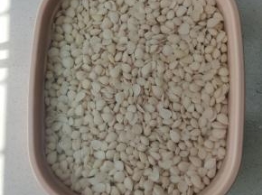 依次把所有的杏仁都蜕皮了，再放入适量的清水浸泡三四天，每天都要换水五六次！