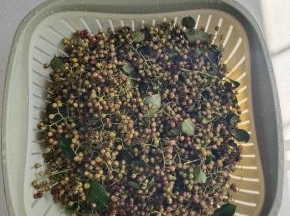 新鲜花椒清洗干净，晾干水分备用！