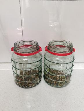 玻璃瓶底部先放一点新鲜花椒！