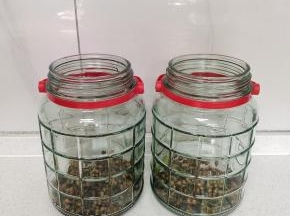 玻璃瓶底部先放一点新鲜花椒！