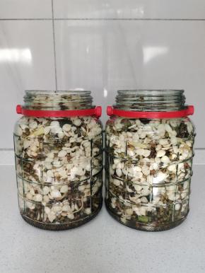 刚好装了两瓶！