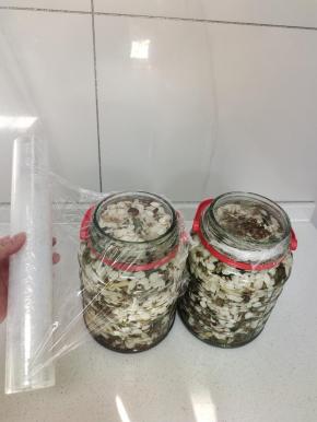 用保鲜膜封口！