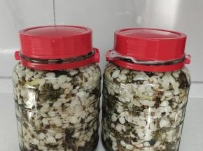 再拧紧盖子，密封好！半个月后就可以吃到麻嗖嗖的杏仁麻豆了！