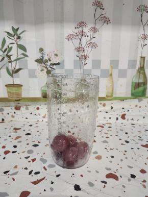 红提清洗干净，去蒂放进雪克杯里面！