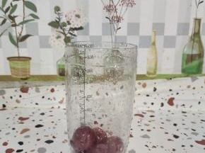 红提清洗干净，去蒂放进雪克杯里面！