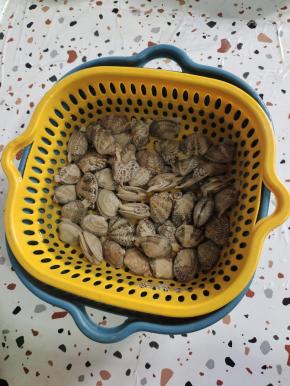 花甲提前放入水中，加入少许盐，几滴油，让它吐沙半个小时，清洗干净，捞出控干水分备用！