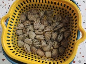 花甲提前放入水中，加入少许盐，几滴油，让它吐沙半个小时，清洗干净，捞出控干水分备用！