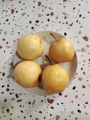 雪梨表面撒多一些的食盐，搓洗干净！(雪梨为了保存时间长，表面会有一层蜡！所以我们要用盐反复搓它的表面！把表面的蜡搓洗干净！这样吃起来放心些！)