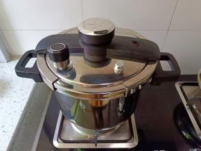 成品图盖上盖子，中小火炖煮，煮到上汽，开最小火继续压10分钟左右，关火焖到自然放完汽就熟透了【具体时间看鸡的大小】