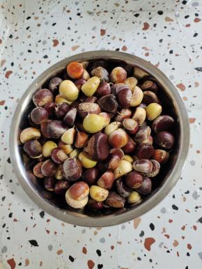 和闺蜜一起去山上捡板栗，忙活了一个小时才捡了四五斤板栗！拿回来清洗干净控干水分备用！