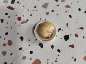 下面放一个瓶盖，把板栗放在上面！