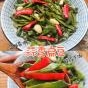 蒜香扁豆