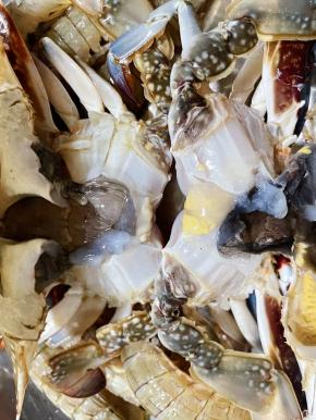 两只螃蟹同样的方法处理干净备用