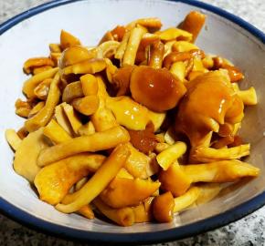 滑子蘑清洗干净，放入开水中焯水煮沸后，立即放入冷水中过凉，再细干净沥干水分。